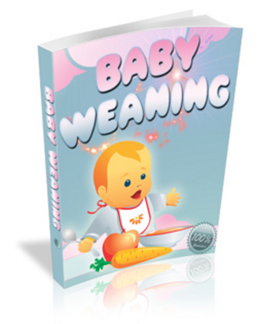 Product picture Baby Weaning - When to wean your Baby